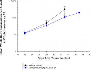 图3 b:抗肿瘤效果的Carfilzomib C57BL / KaLwRij小鼠5 tgm1-luc疾病传播