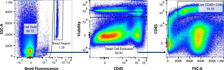 图4:控制策略来测量样品的体积吸气,总量的绝对计数活细胞,和生活CD45 +细胞,使用Labcorp绝对计数流面板。