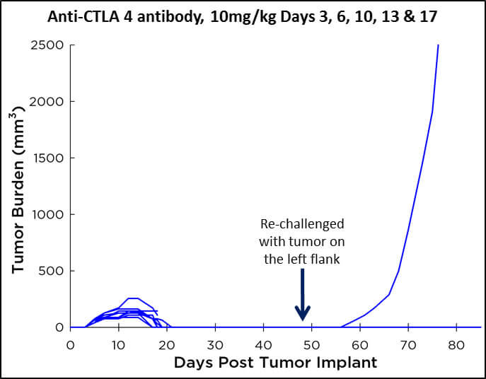 C26小鼠结肠癌癌增长图表