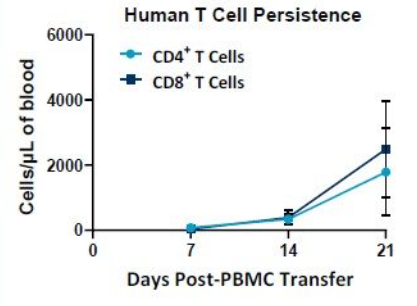 图2。测量人类T细胞的持久性在老鼠21天。