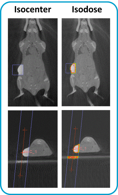 图1:下面放置在治疗床上,CBCT执行治疗计划。结果CT是加载到治疗计划软件和每只动物的治疗方案进行了优化。这个例子显示了等深点与等剂量对小鼠皮下肿瘤。