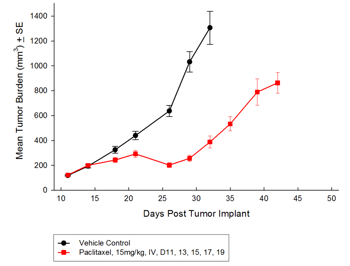 图1:SC A549 NSCLC肿瘤紫杉醇的抗肿瘤效应