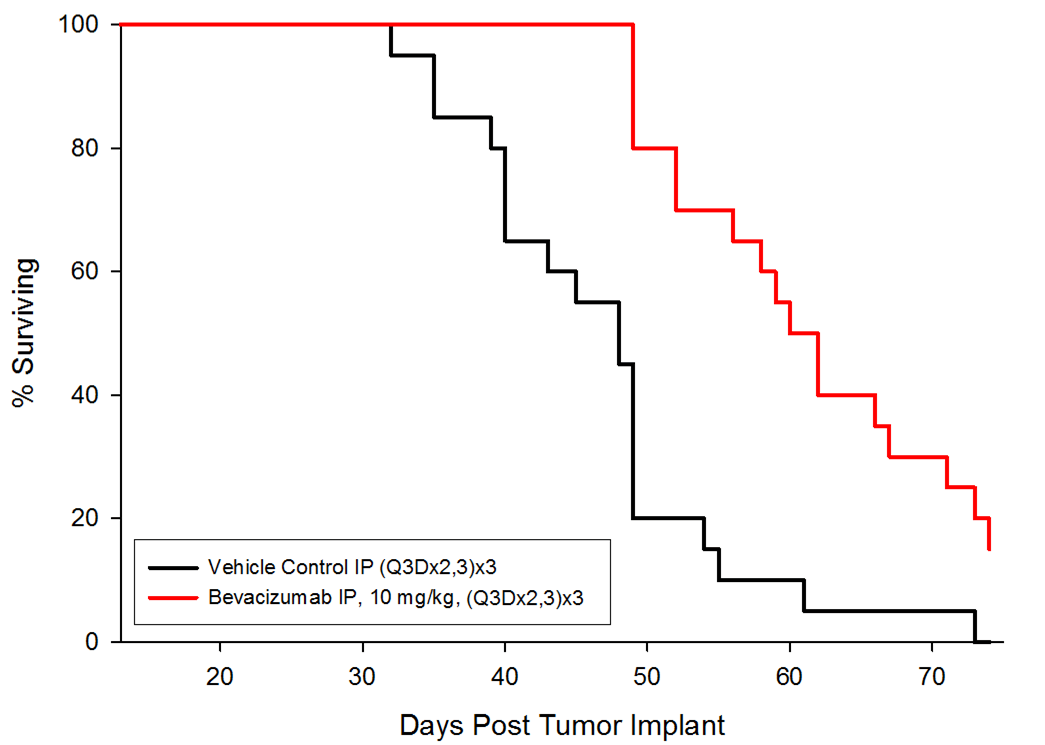 图4:总体存活率与贝伐单抗治疗小鼠原位A549-luc植入后