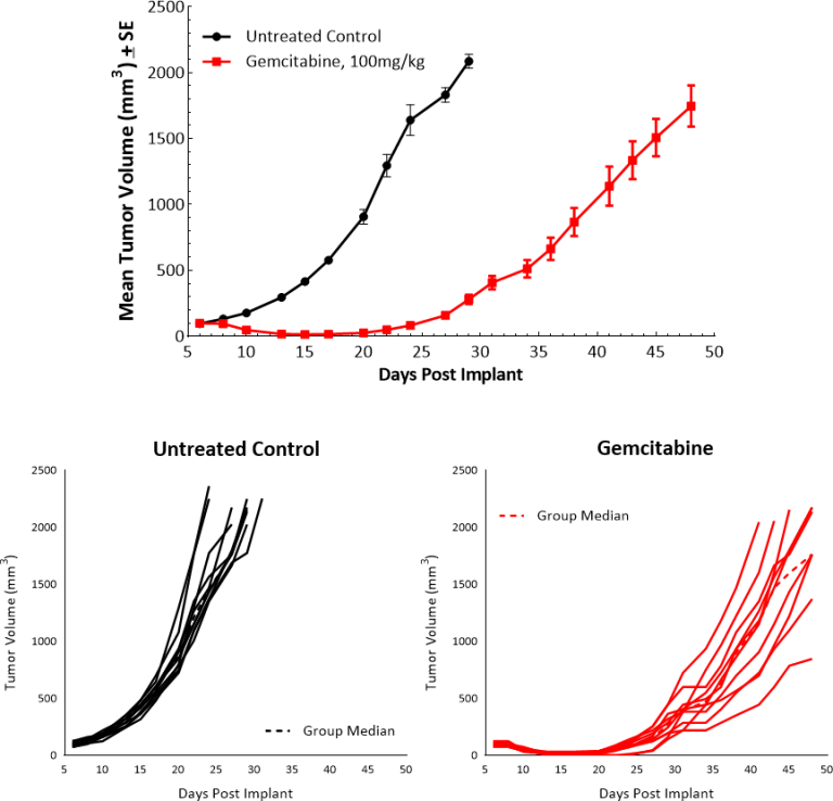 图3:Pan02对吉西他滨的回应。