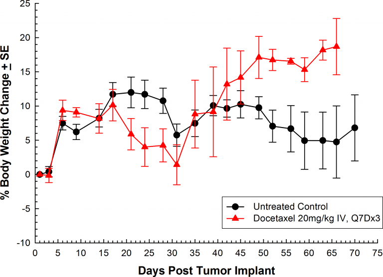 图3:原位PC-3M-Luc-C6人类前列腺癌——意味着%体重变化