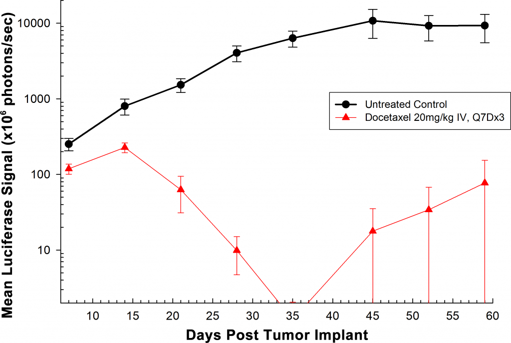 图2:原位PC-3M-Luc-C6人类前列腺癌——意味着肿瘤负荷总BLI信号