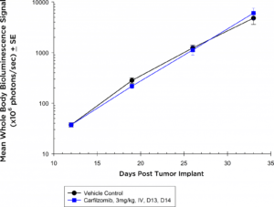 图3A：Carfilzomib对NIH-III裸鼠散布5TGM1-LUC疾病的抗肿瘤作用