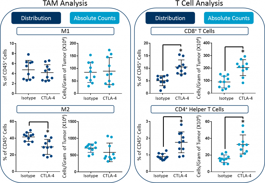 图3:CT26肿瘤中M1和M2 TAMs、CD8+ T细胞和CD4+辅助细胞的分布与绝对计数测量。采用Student 's t检验进行统计学分析(*p<0.05)。