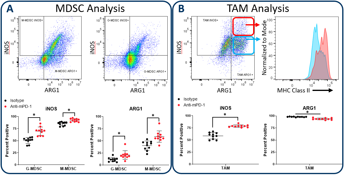 图2。MDSC和TAM亚群iNOS和精氨酸酶1分析。