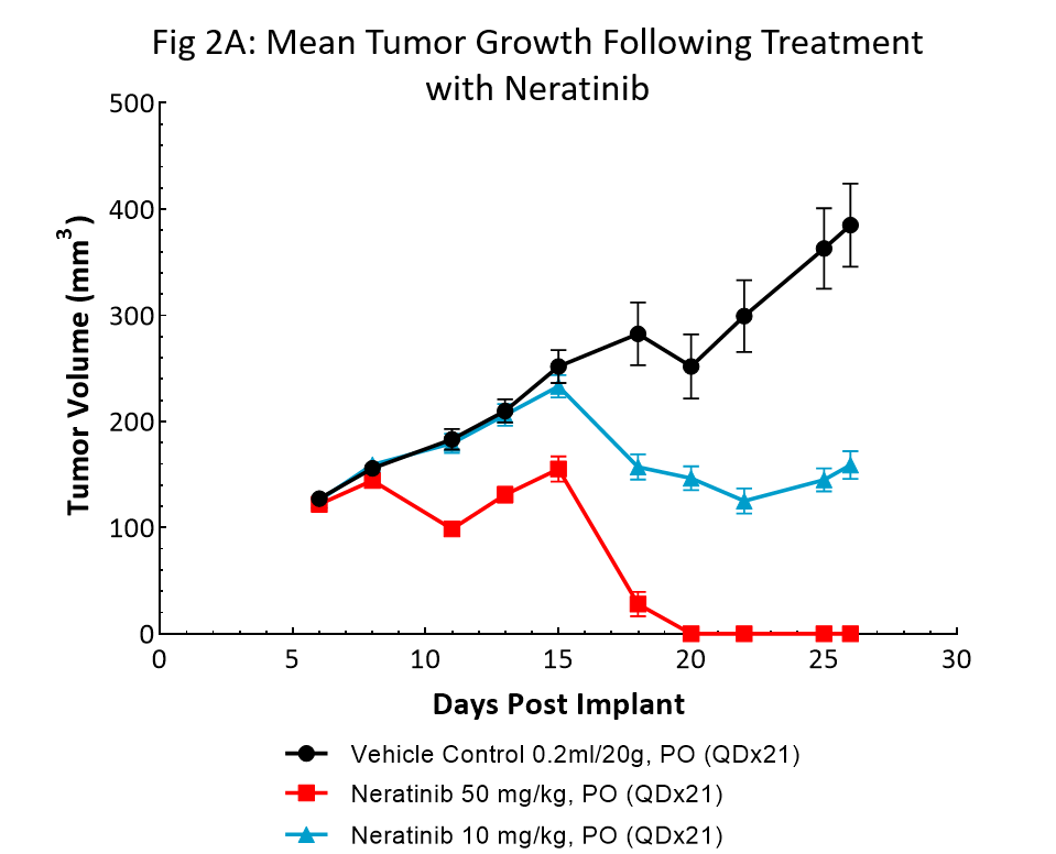 图2A: Neratinib治疗后肿瘤平均生长