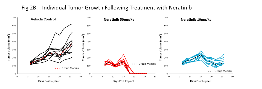 图2B:涅拉替尼治疗后的个体生长