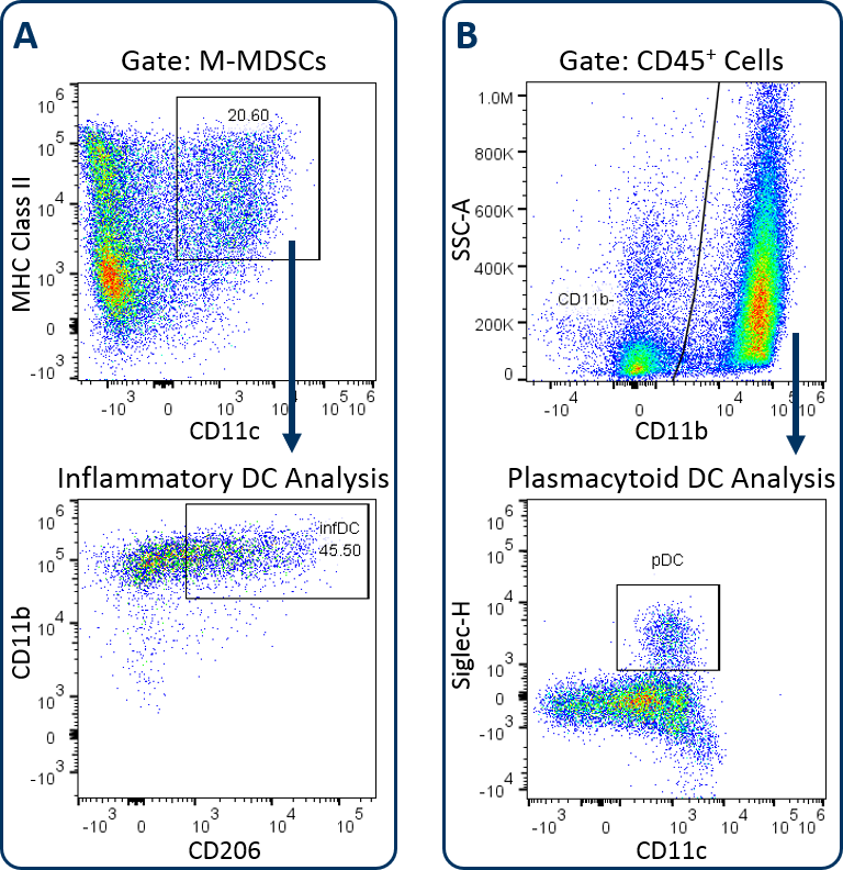 图2:通过定制CompDC™面板，可以对infDC和pDC子集进行分析。(A) B16-F10肿瘤衍生细胞中infDC的分析。(B) CT26结直肠癌肿瘤源性细胞中pDC的分析。