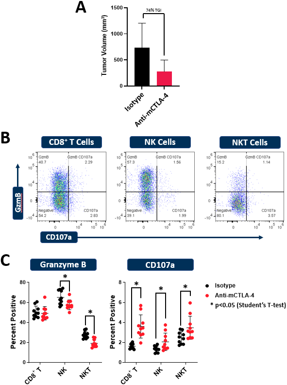 图3:CT26模型的细胞毒性分析。建立CT26肿瘤的BALB/c小鼠(n=10/组)给予抗mpd -1(克隆RMP1-14)或同型对照抗体。体外刺激和免疫表型进行如上所述。