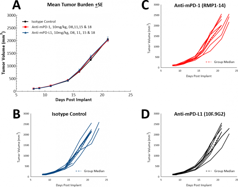图4:LL/2 SC肿瘤对单剂检查点抑制剂抗mpd -1和抗mpd - l1的反应。