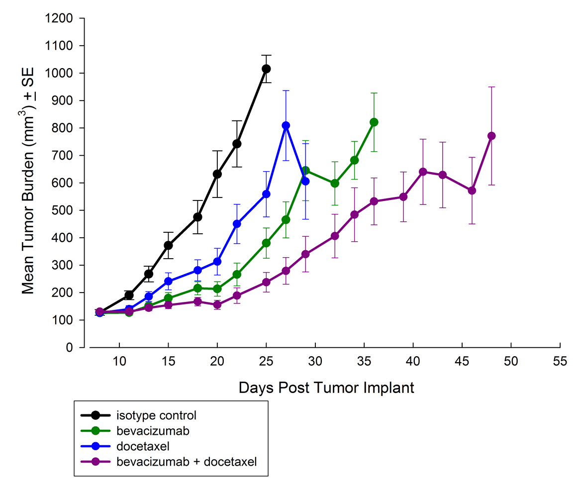 图2：多西他赛，贝伐单抗或SC A549 NSCLC肿瘤的抗肿瘤作用