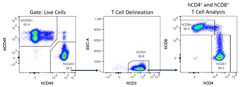 图4 -控制策略的检测人类免疫细胞与hPBMCs NSG老鼠重组。