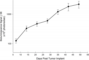 图6:原位植入NCI-1703后的平均肿瘤负荷