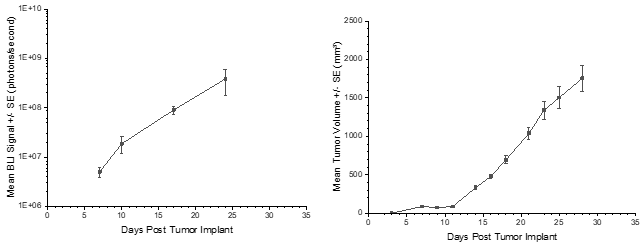 图3:转移性疾病进展的PC-9-Luc平均BLI信号;图4:PC-9-Luc平均原发(SC)肿瘤生长
