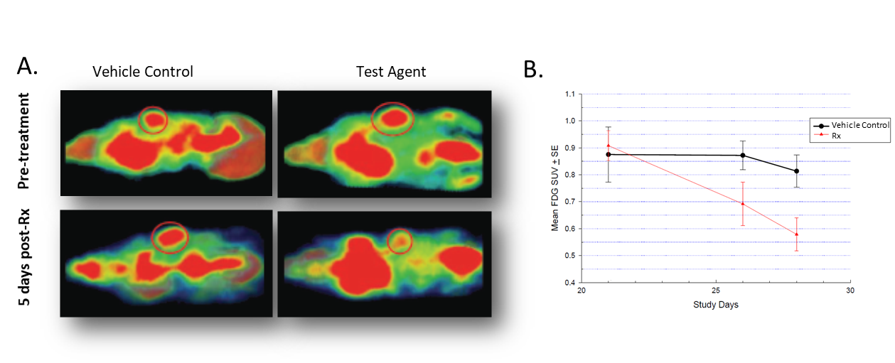 图2。治疗对Colo-205荷瘤小鼠摄取18F-FDG的影响。A.治疗前后的冠状面图像。B.肿瘤中18F-FDG积累的定量。