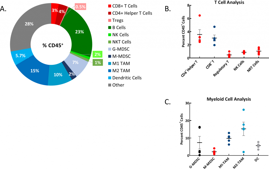 图2A:有代表性的甜甜圈图显示免疫细胞群占CD45+总数百分比的分布。图2B: T细胞群分析。图2C:骨髓细胞群分析。研究使用了n=5个小鼠腹水样本。