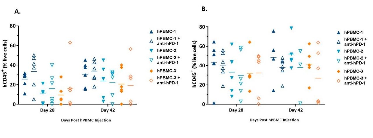 图3.从NSG小鼠中检测到的HPBMC和含有Miapaca-2（A）或A549（B）异种移植物的NSG小鼠的全血中检测到的HCD45+细胞的植入。